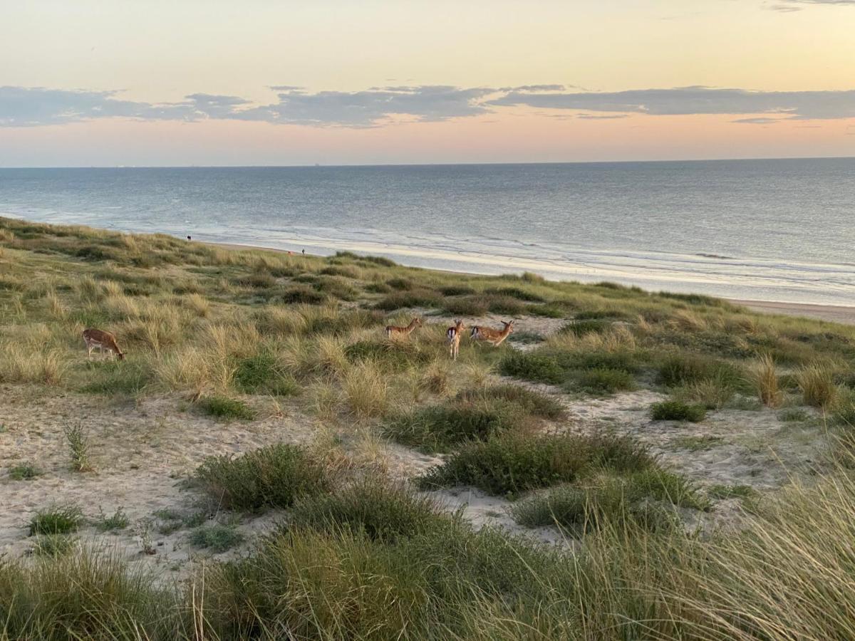 Appartamento Zwarte Vis Zandvoort Esterno foto